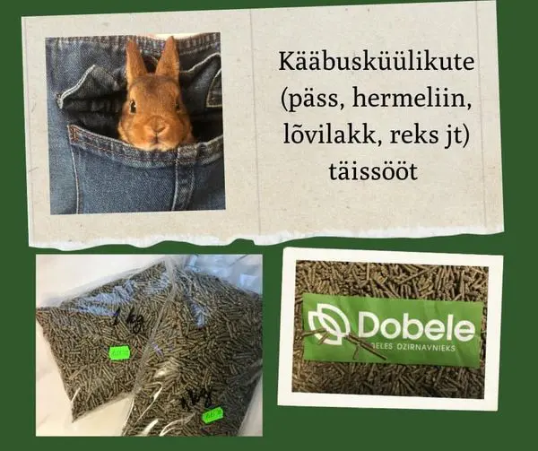 Hein küülikule/meriseale